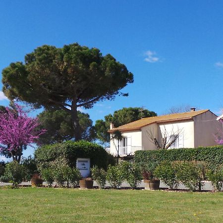 A L'Oree Des Vignes Montady Exterior foto