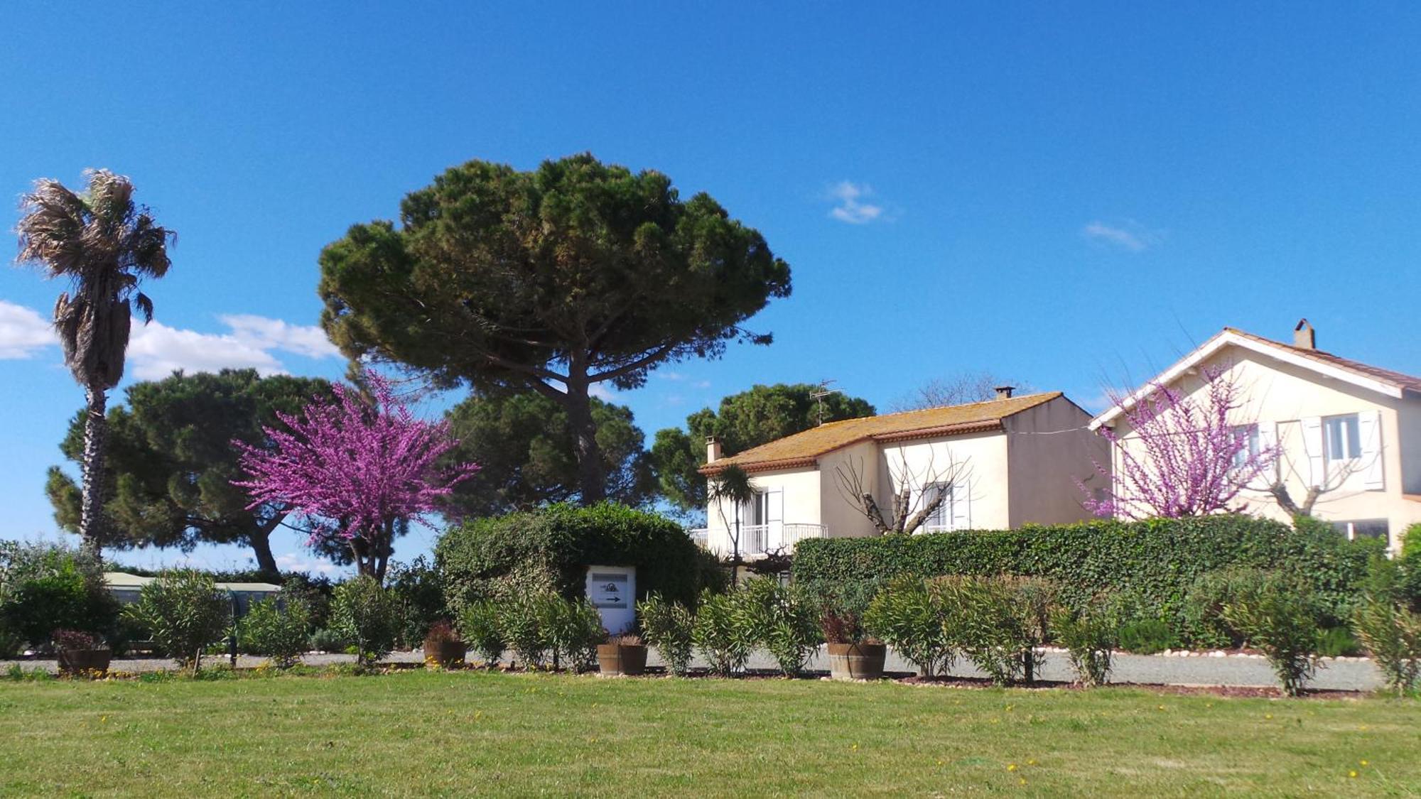 A L'Oree Des Vignes Montady Exterior foto