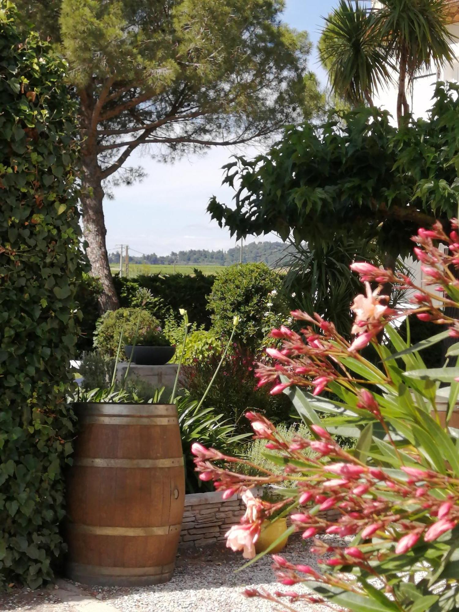 A L'Oree Des Vignes Montady Exterior foto